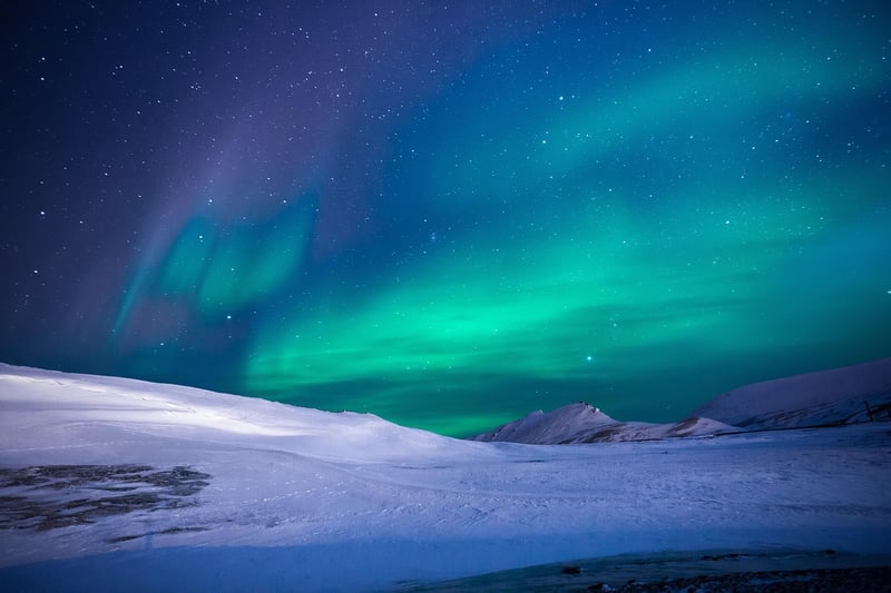 Aurora Gowns