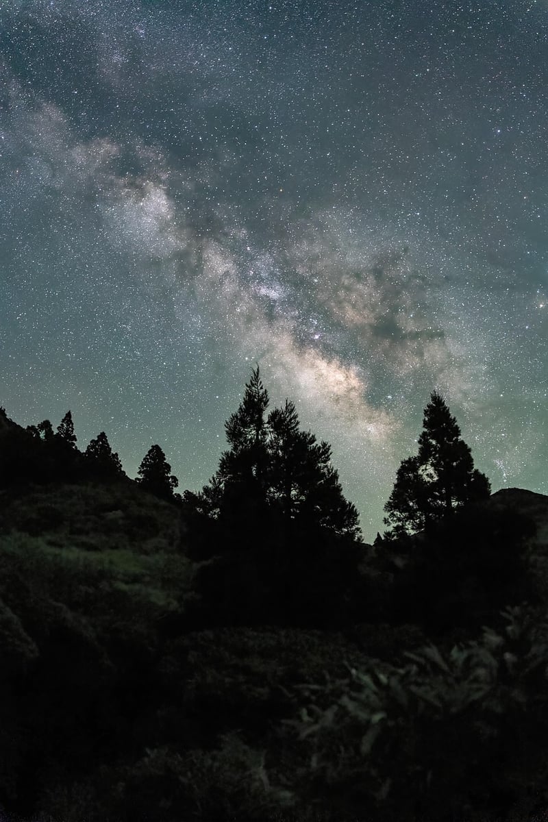 Milky Way Suit Image